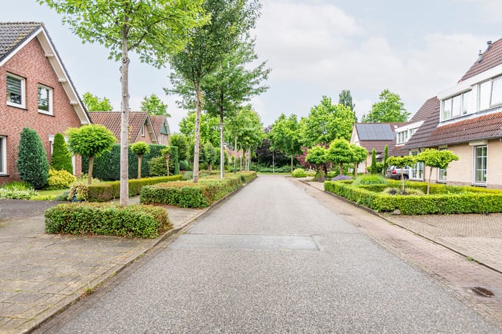 Foto 60 van De Marke 4