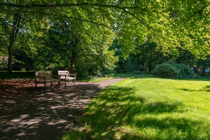 Foto 35 van Beukenhorst 27