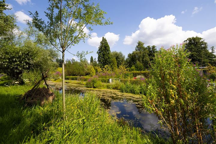 Bekijk foto 43 van Manegelaantje 10