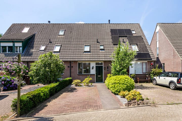 undefined main image