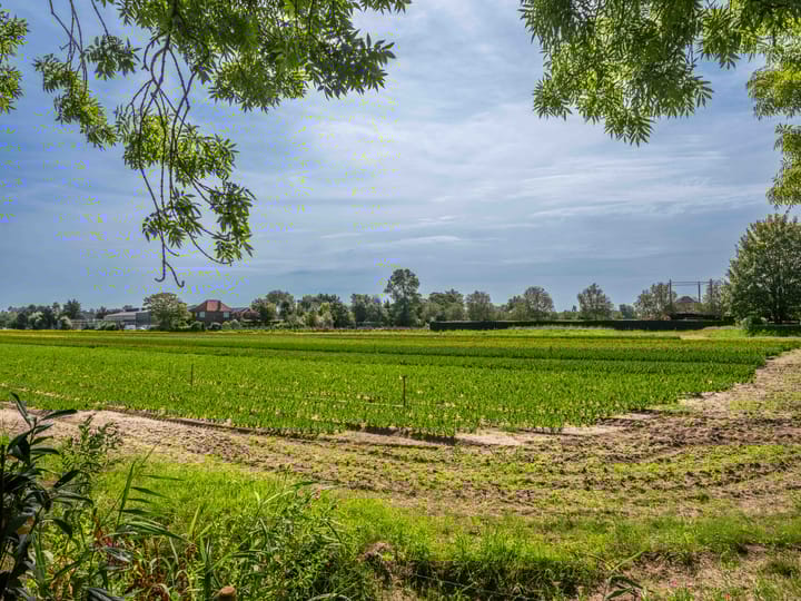 Foto 9 van Herenweg 97