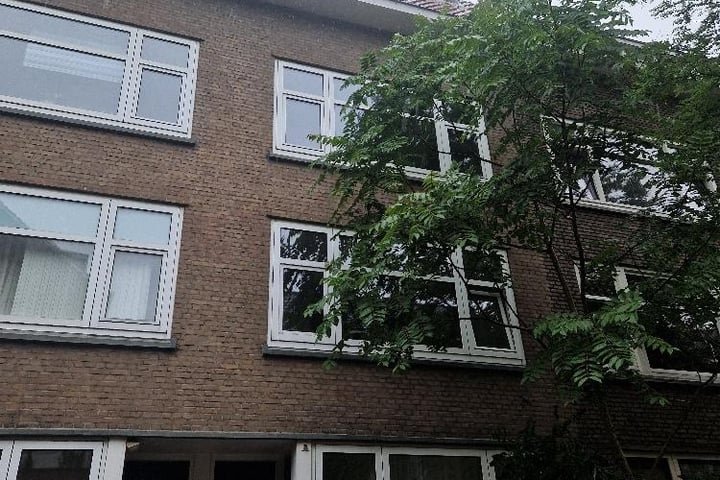Bekijk foto van Borgesiusstraat 67 B01