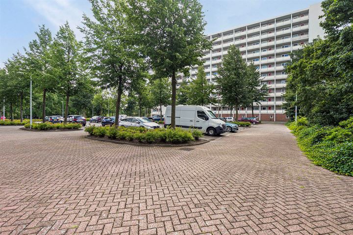 View photo 46 of Jisperveldstraat 252