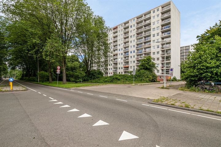 Bekijk foto 43 van Jisperveldstraat 252