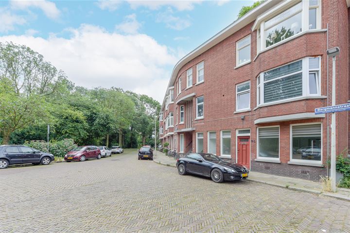 View photo 28 of Bergmannstraat 35