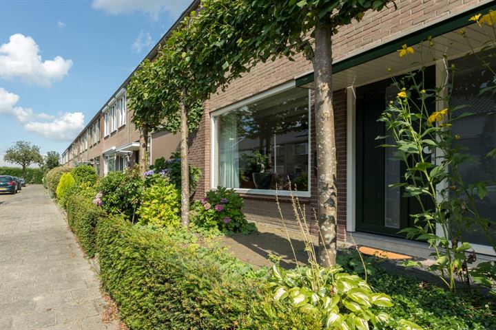 View photo 49 of Dostalstraat 4