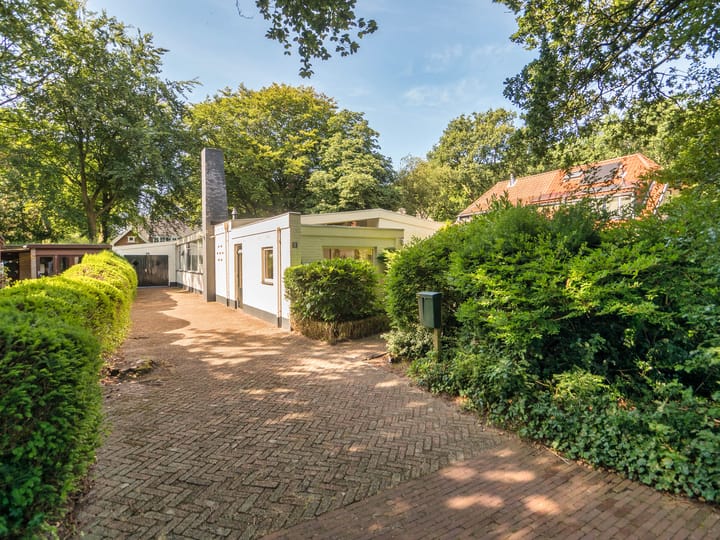 Mezenlaantje 2