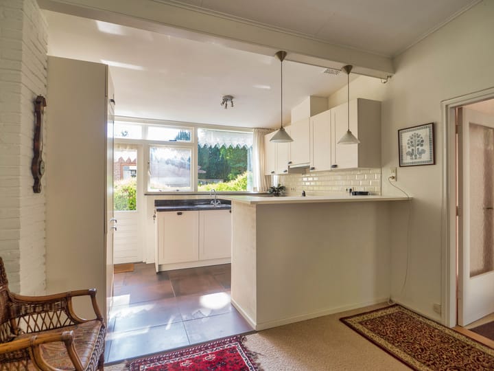 Foto 17 van Mezenlaantje 2