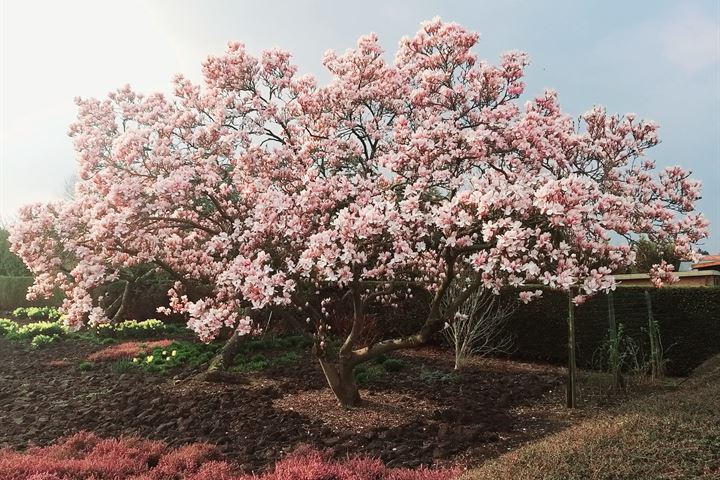 Bekijk foto 3 van Noordeindseweg 83