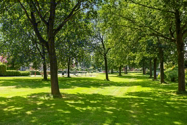 Foto 42 van Watersnip 8