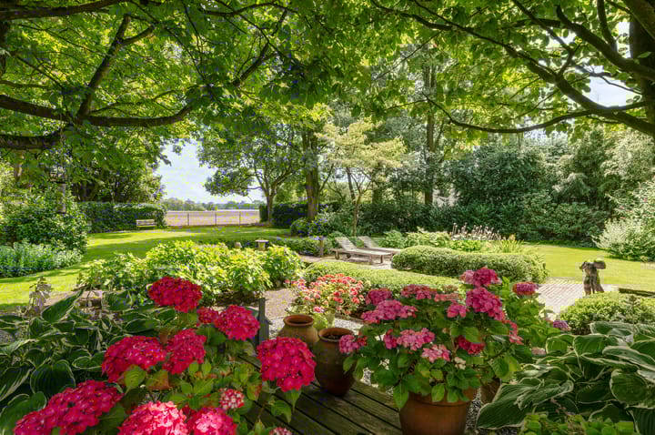 Foto 3 van Leemputten 20