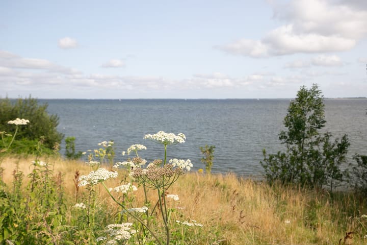 Photo 72 of Grevelingenhout 183