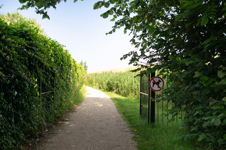 Photo 73 of Grevelingenhout 183