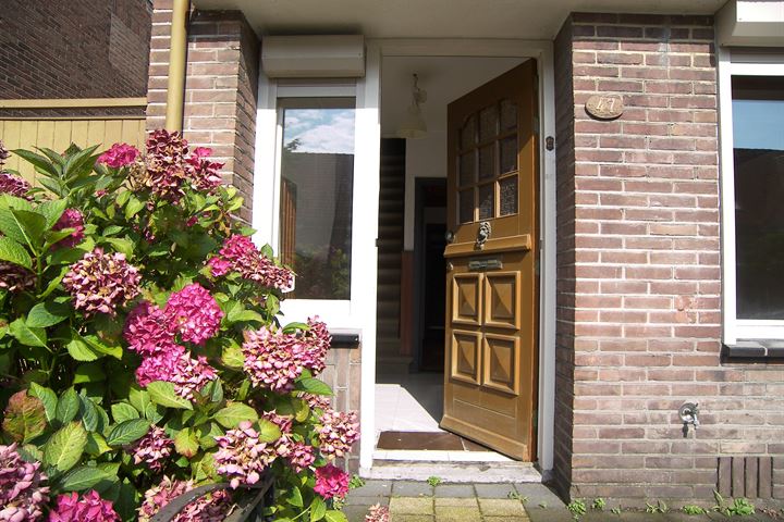 Bekijk foto 2 van Middenlaan 47