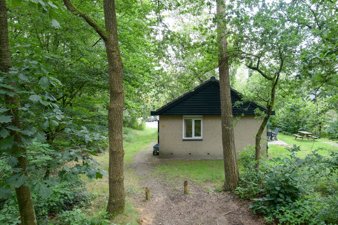 Foto 31 van Grevenhout 21-169