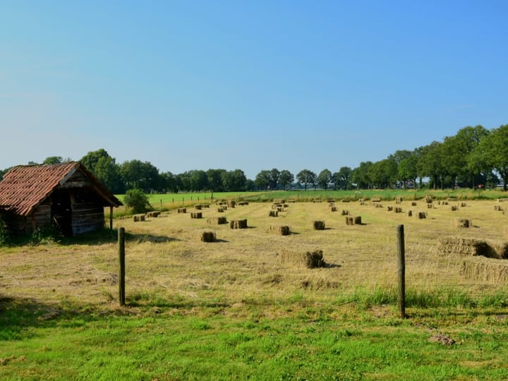 Foto 4 van Witmandwarsweg 2