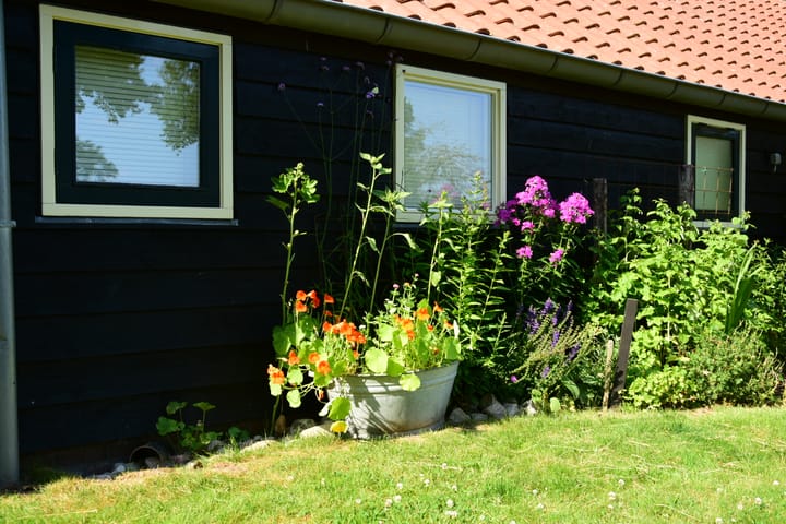 Foto 57 van Witmandwarsweg 2