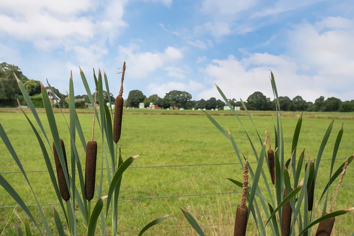 Foto 75 van Witmandwarsweg 2