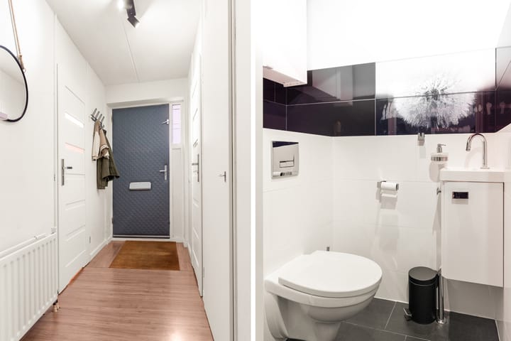 Foto 8 van Topaaspad 7