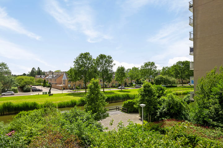 Bekijk foto 19 van Rosa Spierlaan 252