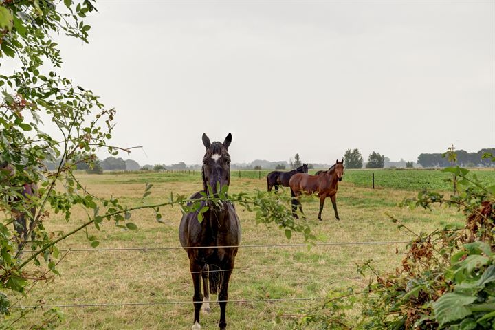 Bekijk foto 42 van Ter Poorteweg 13-A