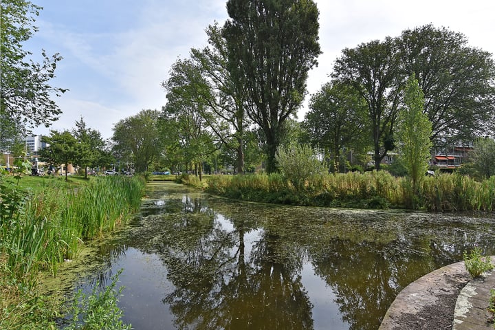 Bekijk foto 30 van Cornelis de Wittlaan 208