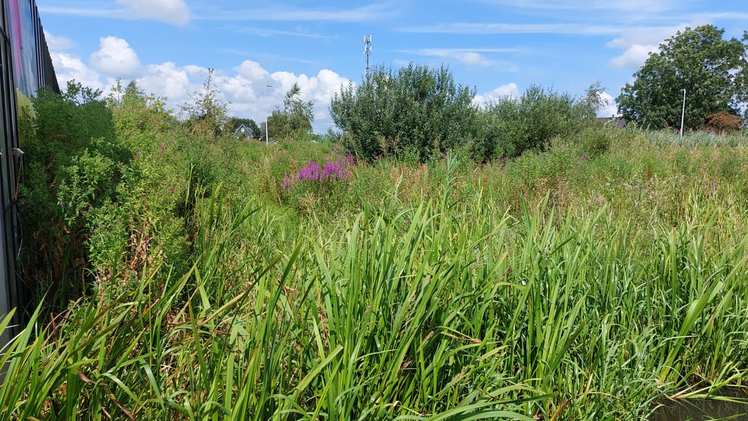 Foto 7 van Voorweg 127 - 129