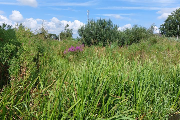 Bekijk foto 7 van Voorweg 127 - 129