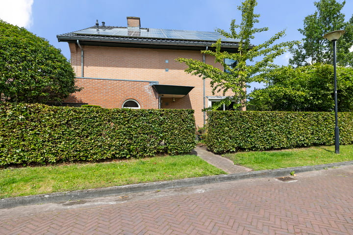 Foto 5 van Wilgenmaat 5