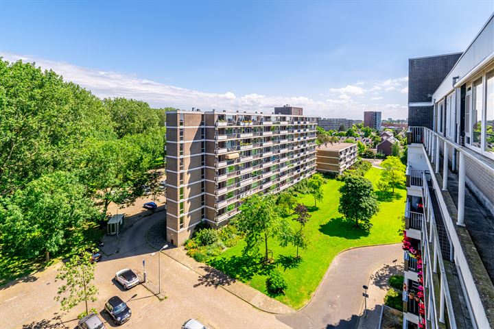 Bekijk foto 35 van Tobias Asserlaan 442