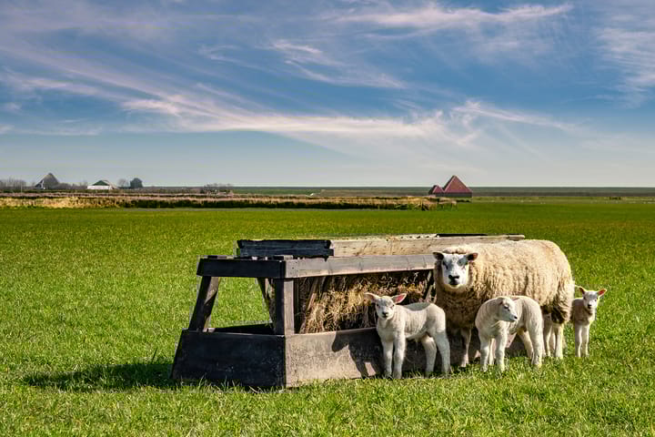 Photo 31 of Stuifweg 49