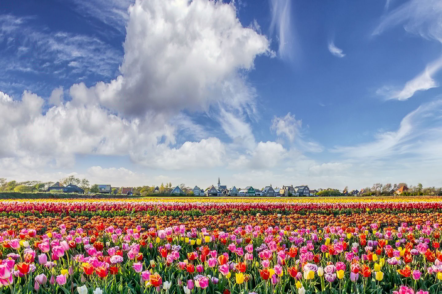 Photo 34 of Stuifweg 49