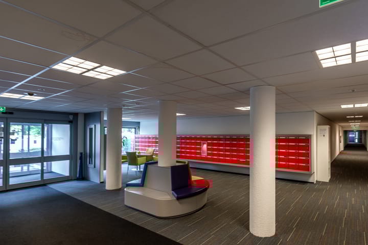 Foto 4 van Loolaan 41-41