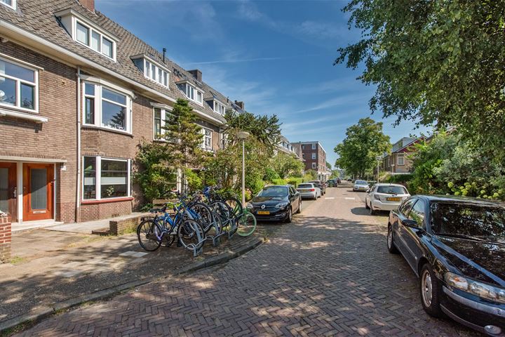 Bekijk foto 31 van Ternatestraat 71