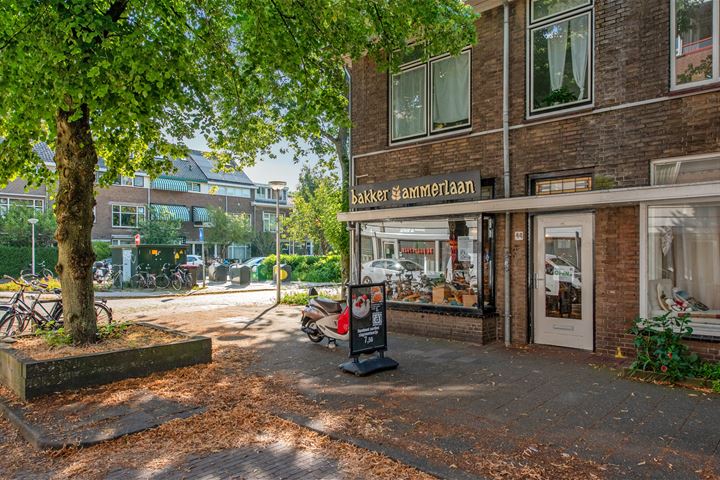 Bekijk foto 32 van Ternatestraat 71