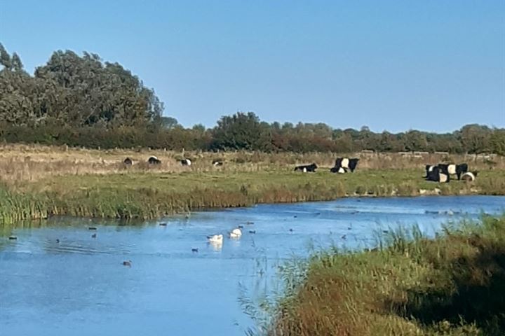 Bekijk foto 40 van Sint Bavodijk 58