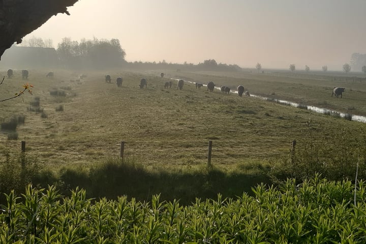 Bekijk foto 42 van Sint Bavodijk 58