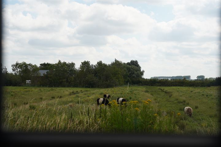 Bekijk foto 43 van Sint Bavodijk 58