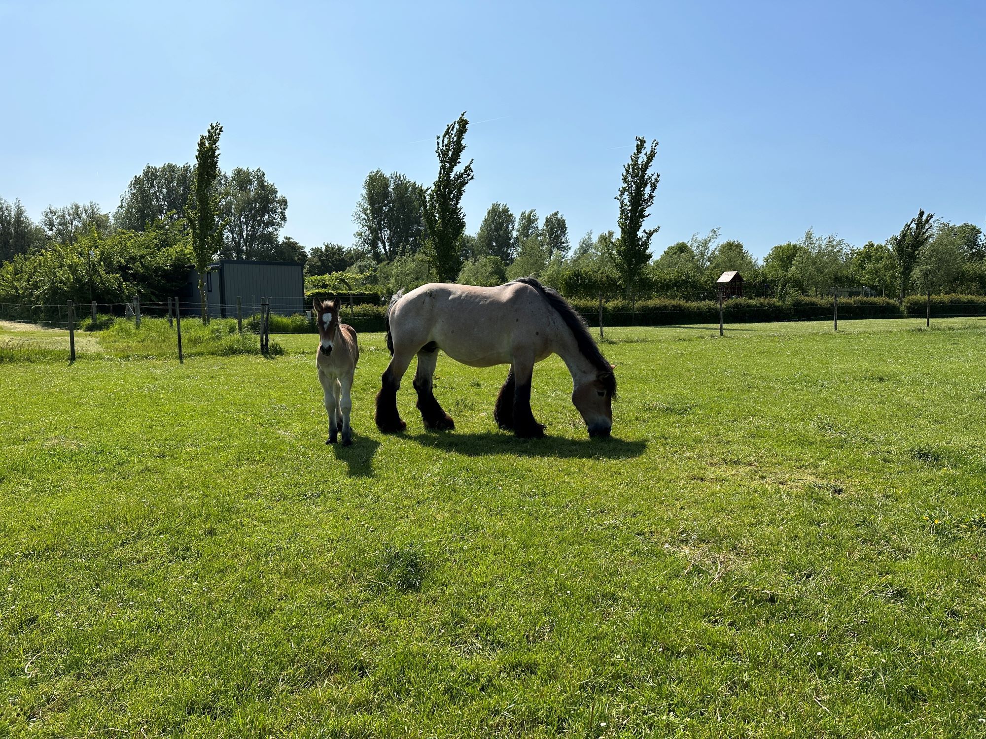 Foto 15 van Brugsevaart 12-73