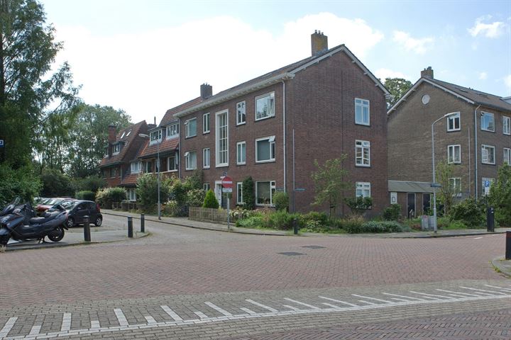 Bekijk foto 3 van van Wassenaerstraat 74-A