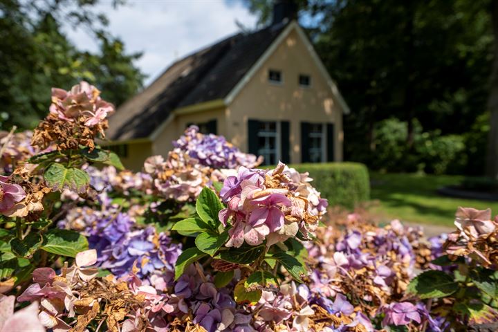 Bekijk foto 26 van Hof van Halenweg 2-337