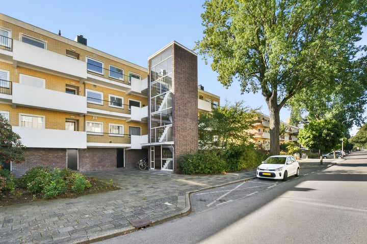 Zonnestein 113