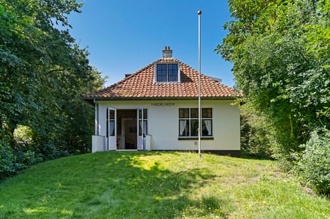 undefined main image