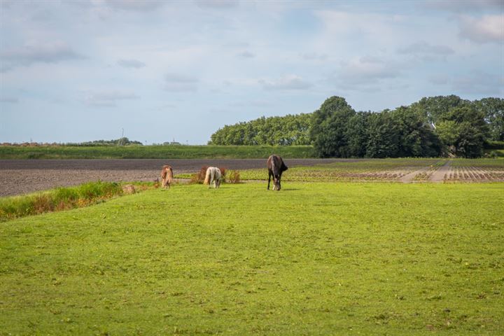 Bekijk foto 54 van Noorddijkerweg 15