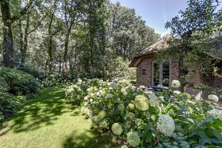 Foto 27 van Tonnenberg 53-V4