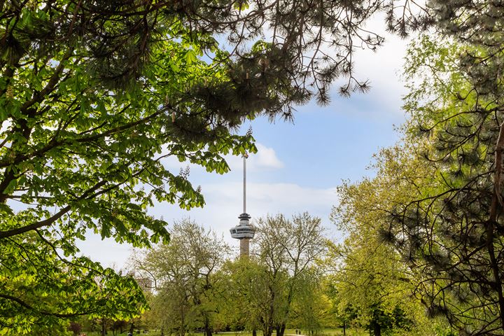 Bekijk foto 55 van Westzeedijk 252