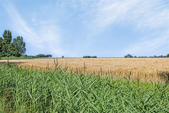 Bekijk foto 3 van Broeksterweg 24