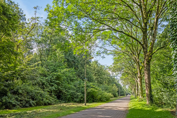 Bekijk foto 42 van Sikkemapad 15