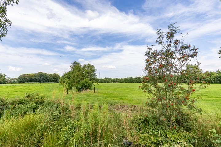 Foto 12 van Master Keuningwei 10