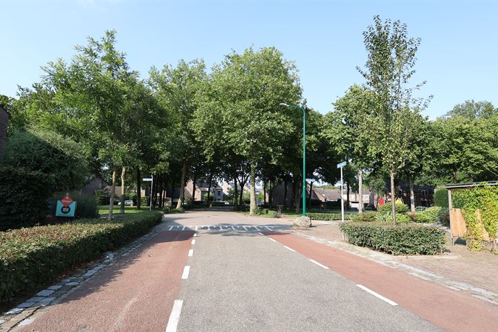 Bekijk foto 23 van Buizerdhorst 38